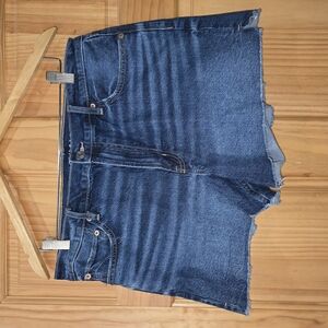 American Eagle Outfitters Blue Jean Shorts